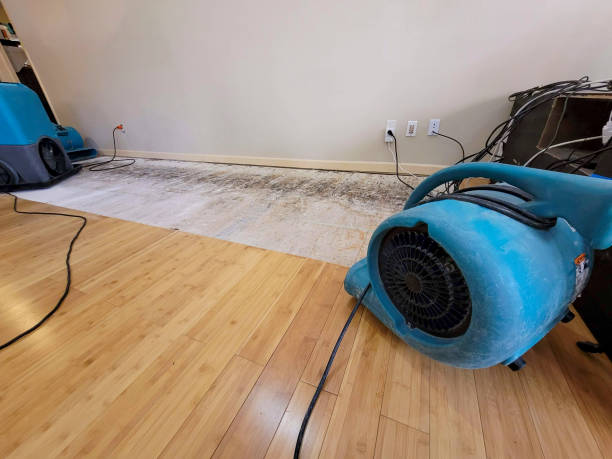 Professional Sewage Cleanup technician working in Palermo, CA